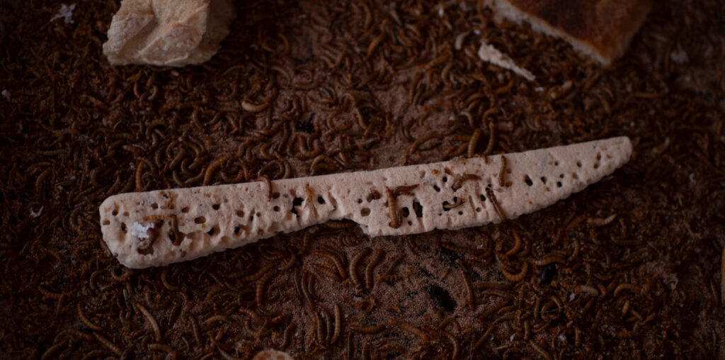 plastic-eating worms sculpt molds for arnaud tantet's metal utensils at dutch design week