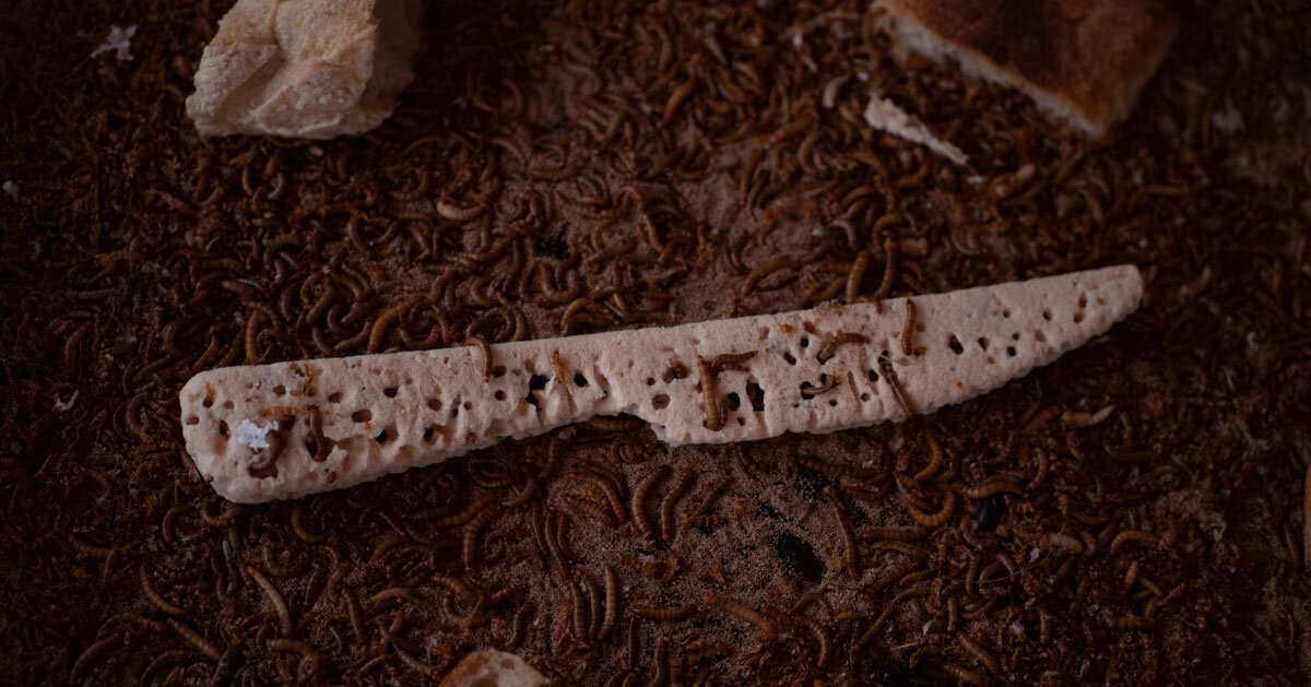 plastic-eating worms sculpt molds for arnaud tantet’s metal utensils at dutch design week