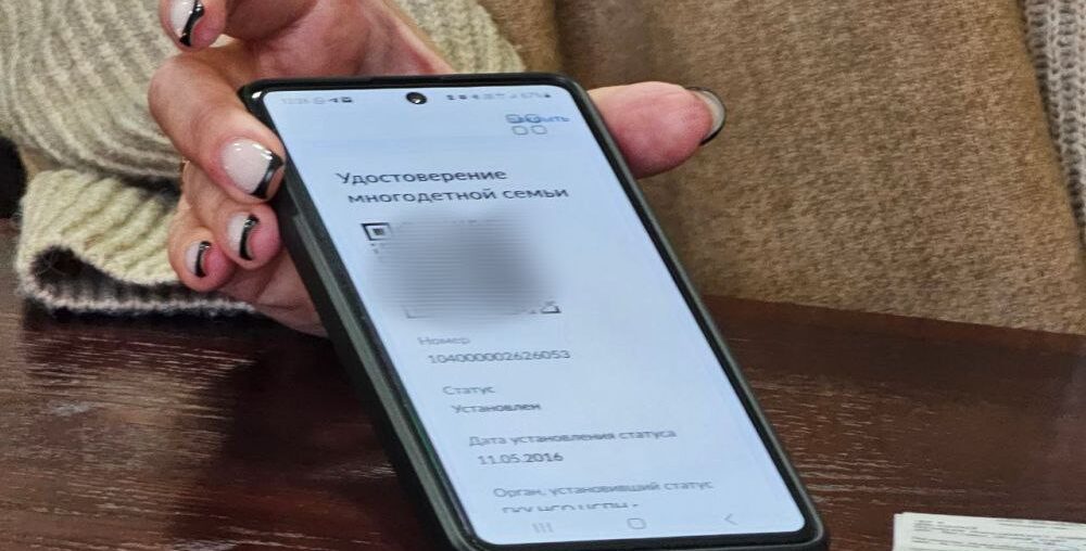 В Новосибирской области ввели цифровые удостоверения для многодетных семей - Российская газета