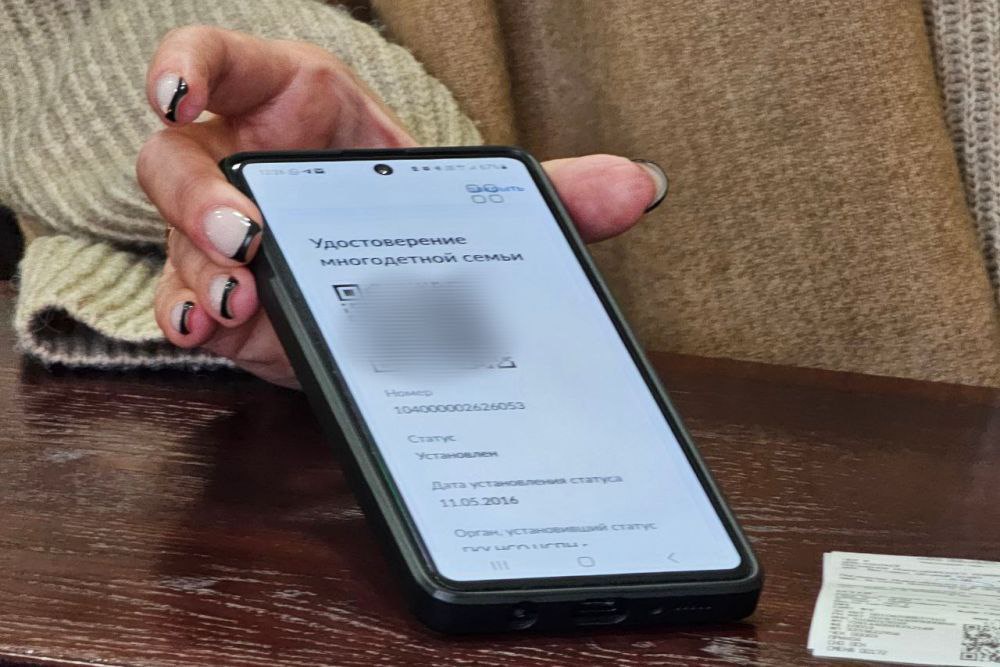 В Новосибирской области ввели цифровые удостоверения для многодетных семей – Российская газета