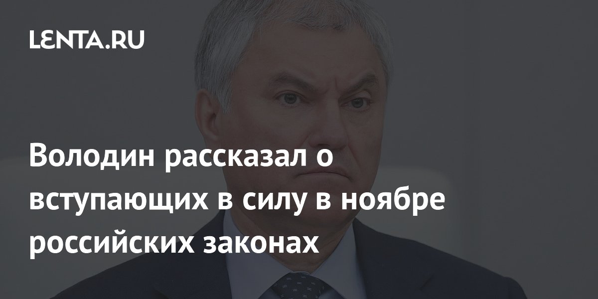 Володин рассказал о вступающих в силу в ноябре российских законах