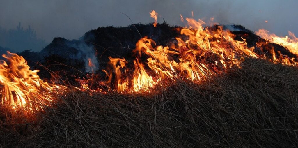 На Буковині під час спалювання сухої трави задихнувся і помер чоловік