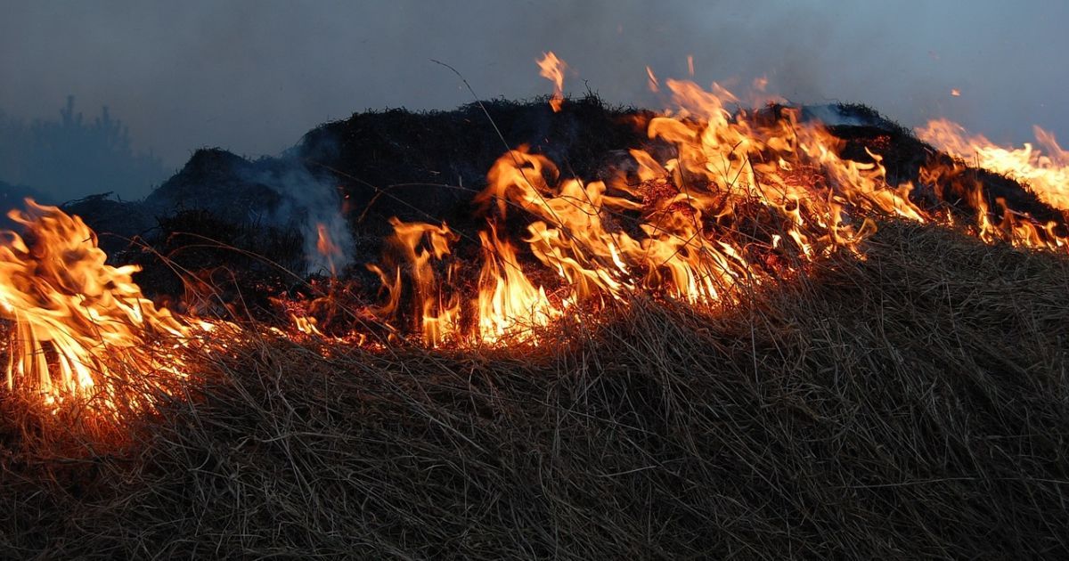 На Буковині під час спалювання сухої трави задихнувся і помер чоловік