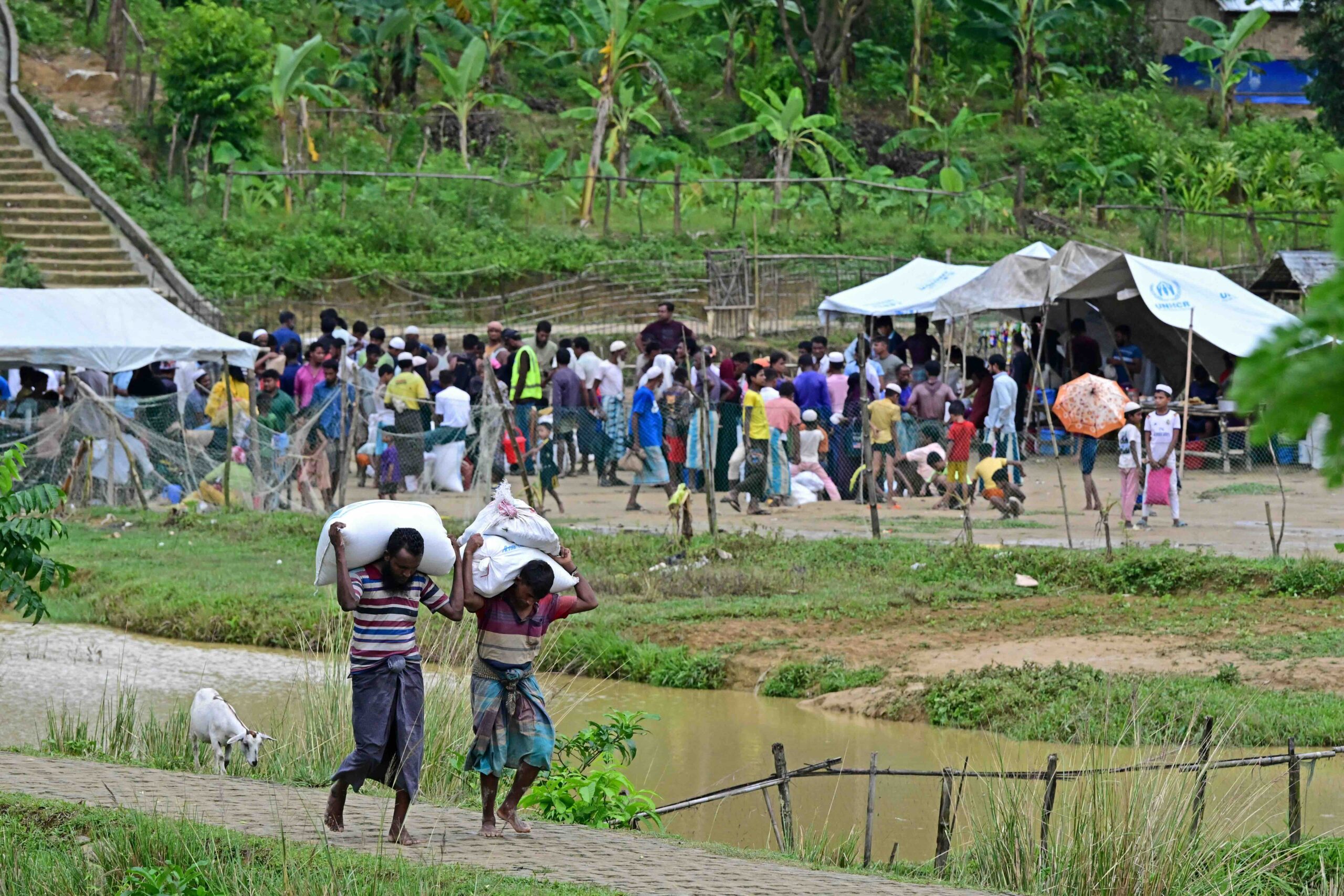 စစ်ဘေးသင့်ရိုဟင်ဂျာများကို ကူညီရန်  လွတ်ငြိမ်းချမ်းသာခွင့်အဖွဲ့ တိုက်တွန်း  – Myanmar Now