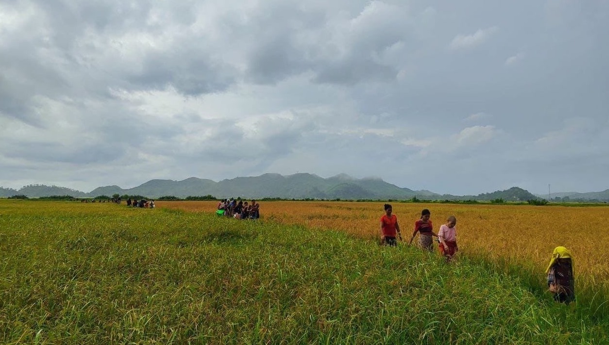 ရခိုင်ဒေသခံများ  ဧရာဝတီတိုင်းဘက်သို့ ငွေလမ်းခင်းပြီး ထွက်ပြေးနေရ   – Myanmar Now