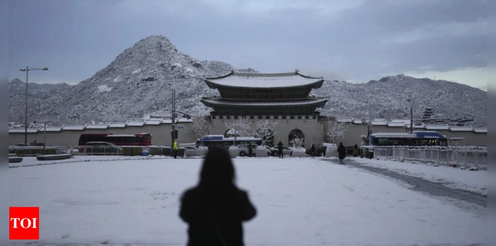 1 dead, several injured as South Korea hit by worst November snowstorm - Times of India