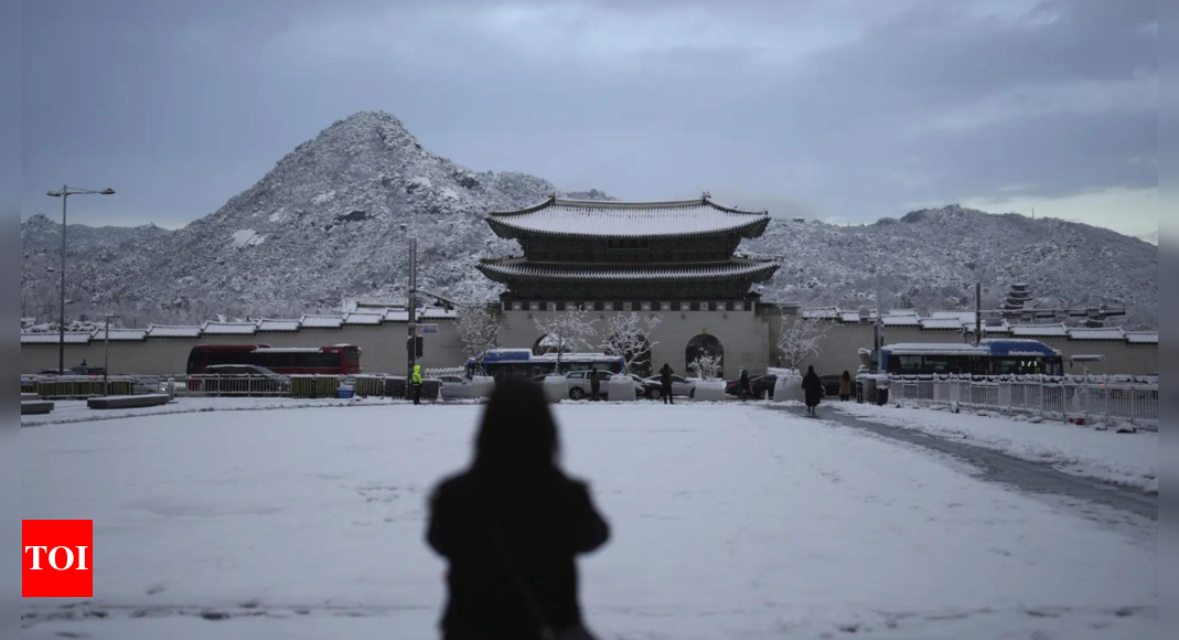 1 dead, several injured as South Korea hit by worst November snowstorm – Times of India