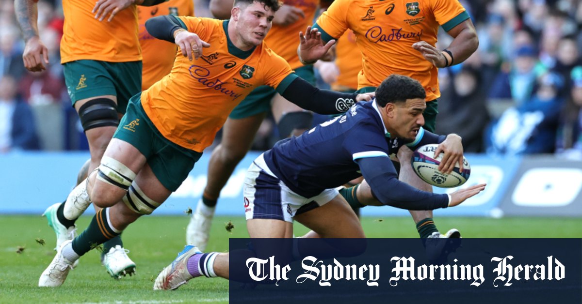 Dominant Scots bring Wallabies’ grand slam dream to crashing halt