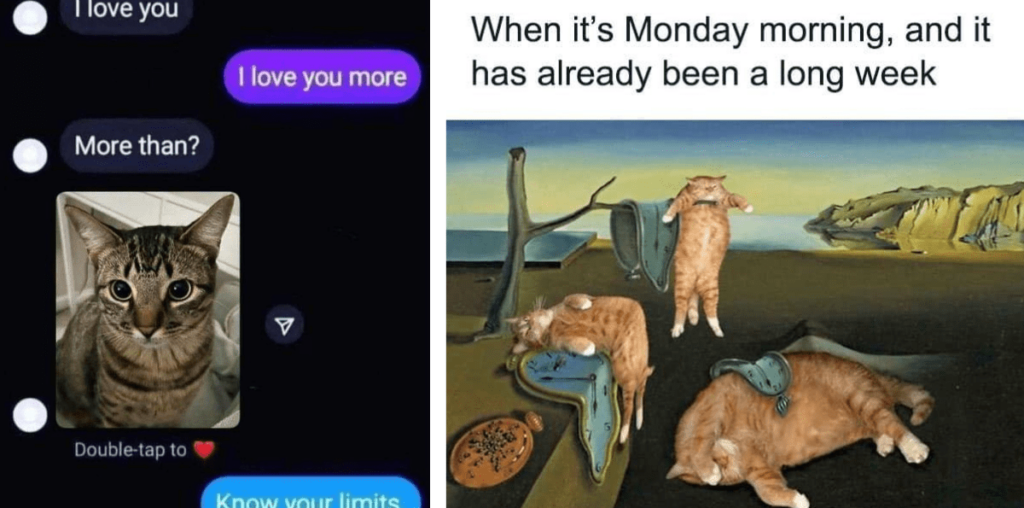 23 Fuzzy Feline Memes That Need This Sunday to Become Seriously Sillier and Fluffing Funnier