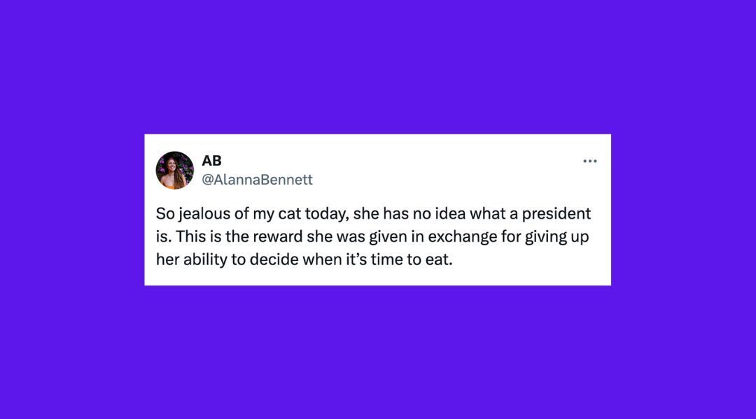 23 Of The Funniest Tweets About Cats And Dogs This Week (Nov. 2-8)