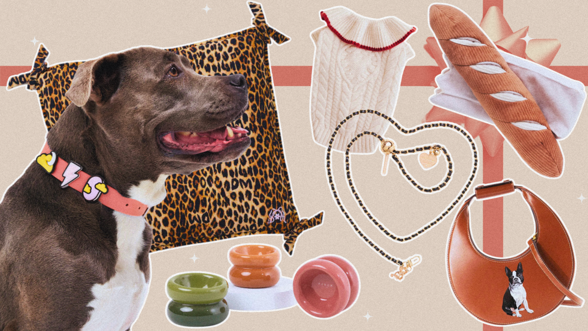 39 Gifts for the Fashionable Pet Parent in Your Life