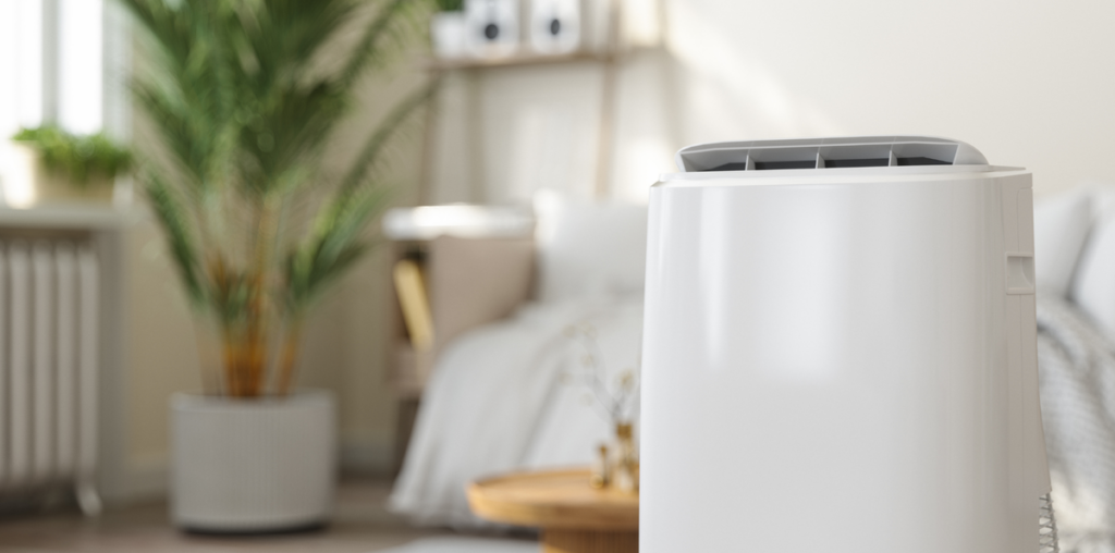 4 ways to reuse your dehumidifier water around the house, recommended by experts