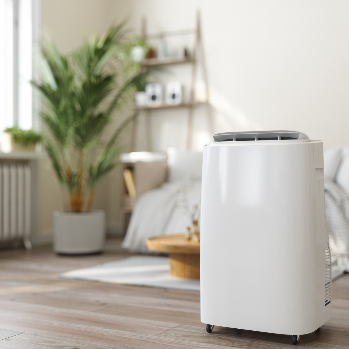 4 ways to reuse your dehumidifier water around the house, recommended by experts