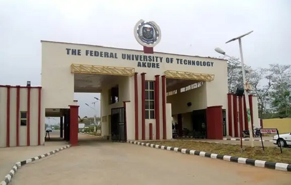 519 FUTA students bag First Class – The Nation Newspaper