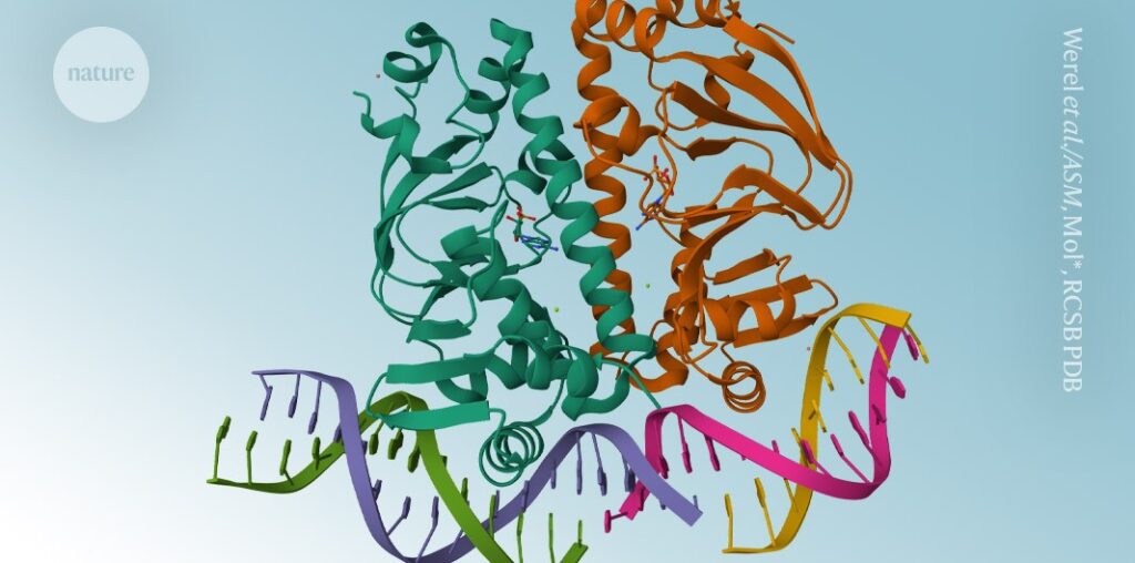 AI protein-prediction tool AlphaFold3 is now open source