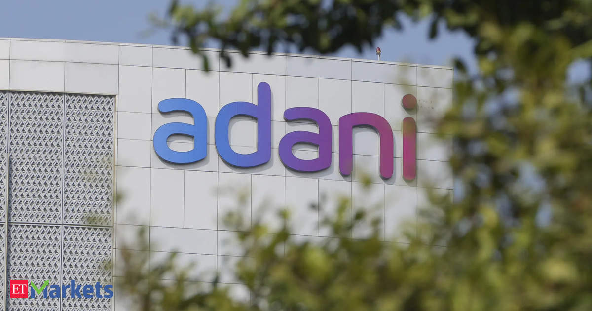 Adani shares drew retail investors just before US probe pullback