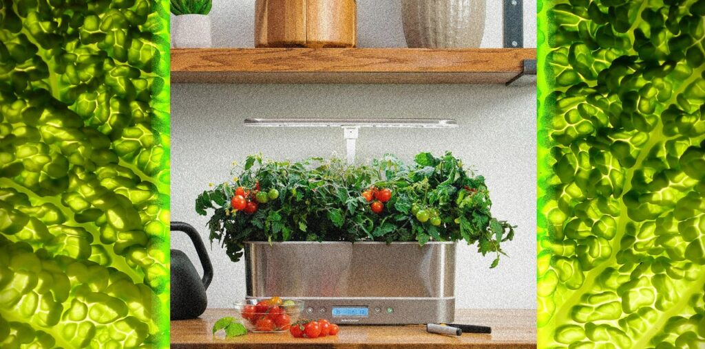 AeroGarden, a Pandemic-Era Phenomenon, Is No More. What Happens Next?