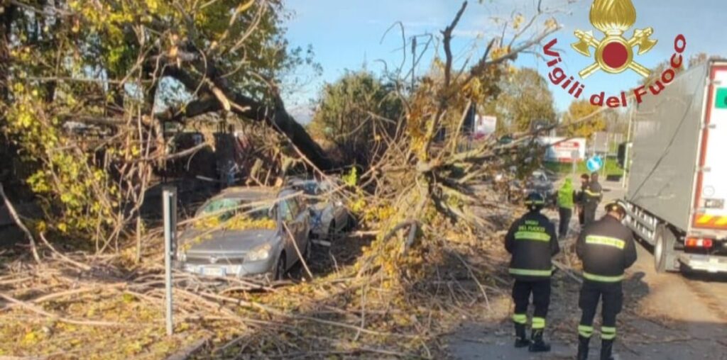 Alberi cadono a Milano per il vento: danneggiate alcune auto e il tetto di un centro commerciale