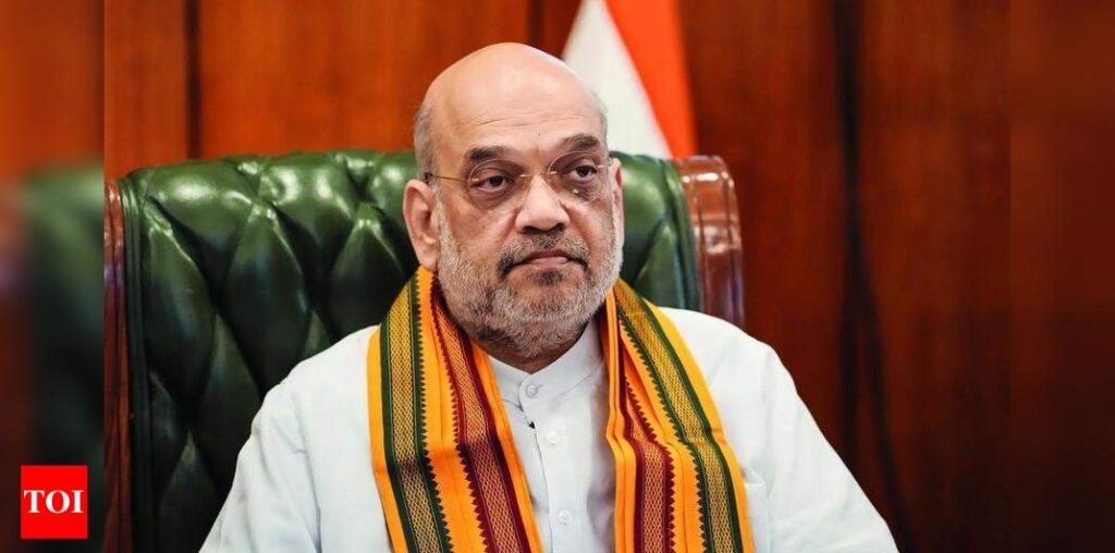 Amit Shah ticks off Delhi police over rising crime | India News - Times of India