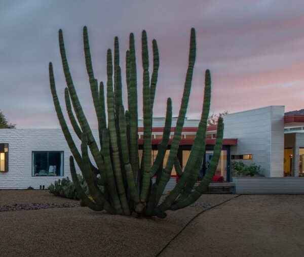 Amit Upadhye Architects orients Arizona home to the stars