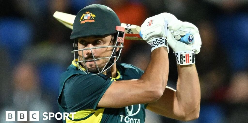 Australia v Pakistan: Marcus Stoinis shines as hosts win T20 series 3-0