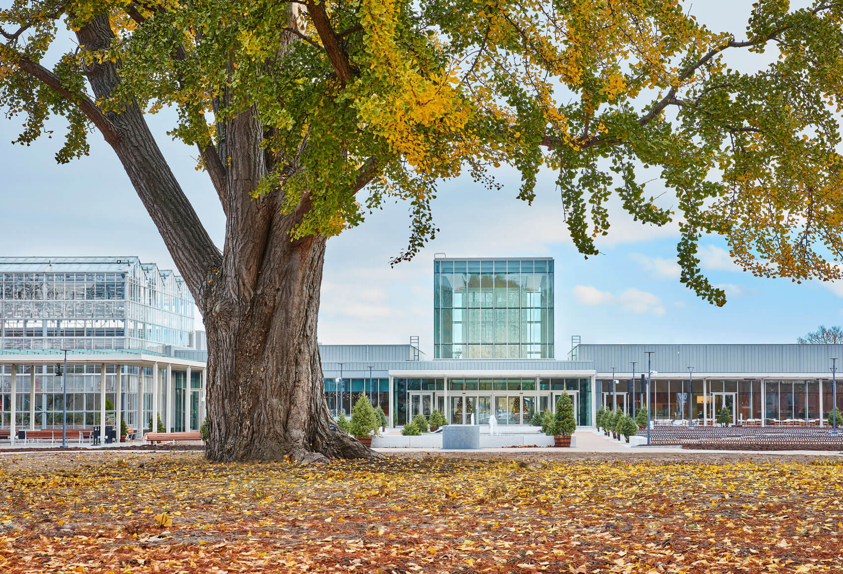 Ayers Saint Gross completes new visitors center for Missouri Botanical Garden