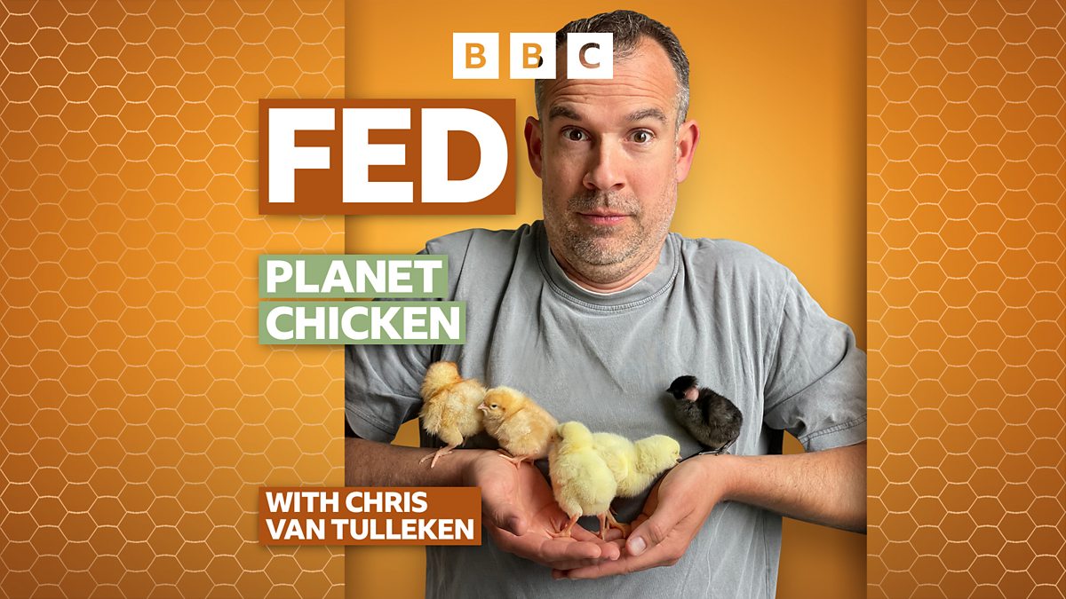 BBC World Service – Discovery, Fed: A Chicken and Egg Story