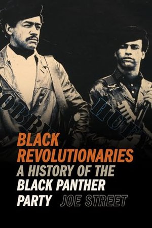 BLACK REVOLUTIONARIES | Kirkus Reviews