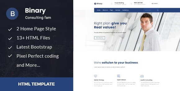 Binary – Business Consulting and Professional Services HTML Template