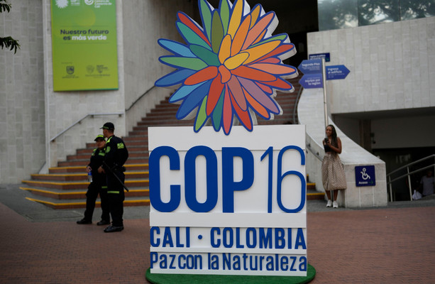 Biodiversity COP: Global climate efforts and some gains made, but no clear agreement