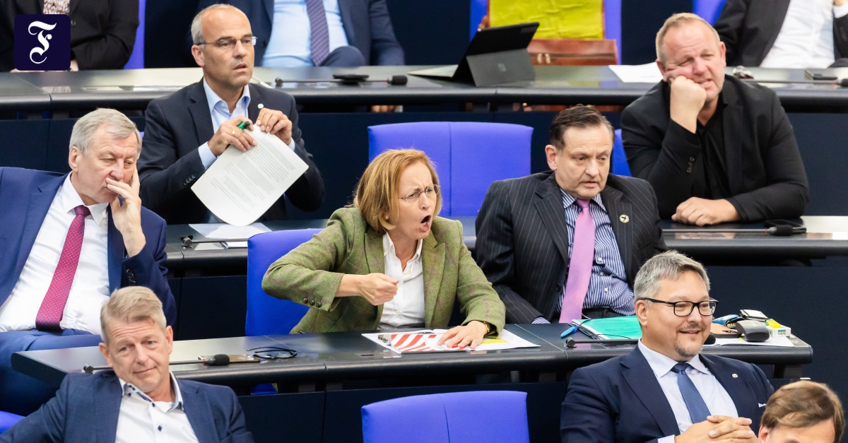 Bundestag: „AfD will Demokratie lächerlich machen“