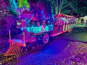 Buyers wait hours for Stanley Park Christmas train tickets