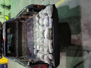 CBP seizes more than 11,000 rounds of ammunition at El Paso port of entry