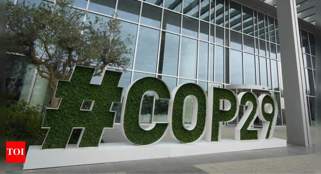 COP29 host Azerbaijan says doors ‘still open’ after spat with France – Times of India