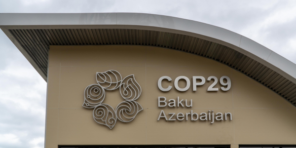 COP29 – level 3 – News in Levels