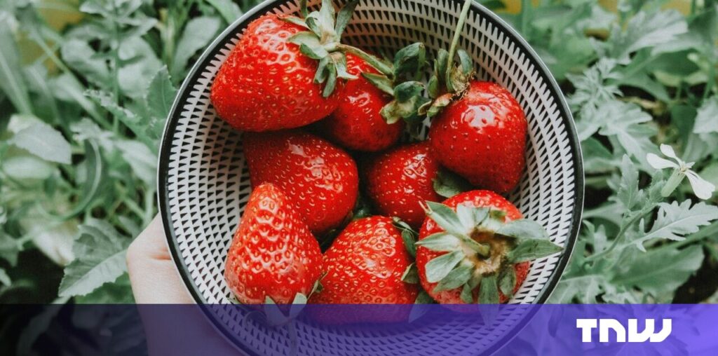 Can OpenAI’s Strawberry program deceive humans?