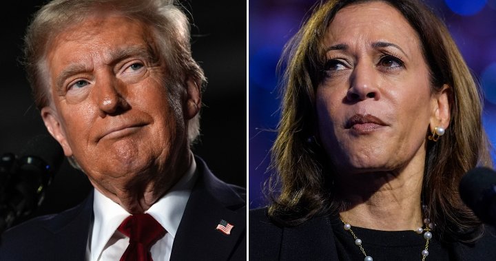 Canada prepares for U.S. election. What a Trump or Harris win could mean – National | Globalnews.ca