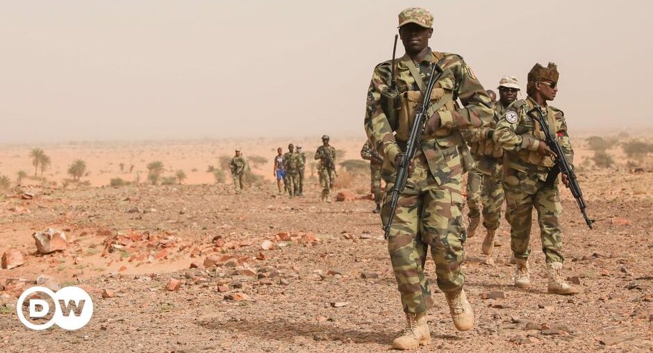 Chadian soldiers killed in clash with Boko Haram – DW – 11/11/2024