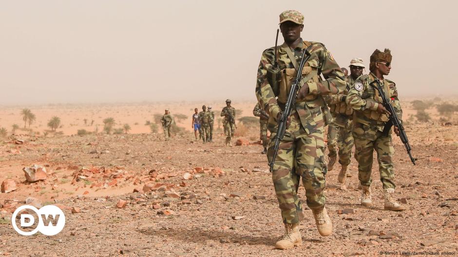 Chadian soldiers killed in clash with Boko Haram – DW – 11/11/2024