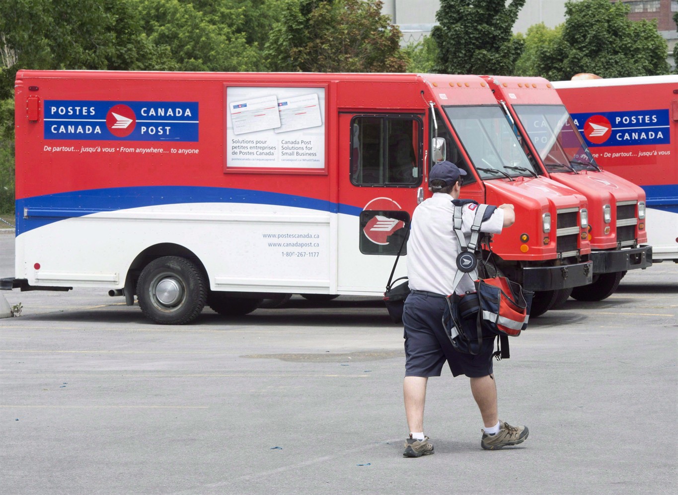 Charities brace for Canada Post lockout | CityNews Edmonton