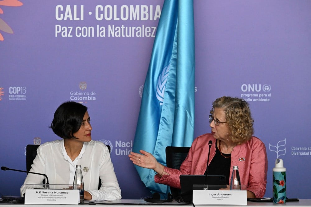 Conservationists Convene in Colombia