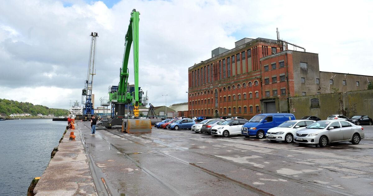 Cork coroner calls for barriers on city’s quays to stop cars driving into river 