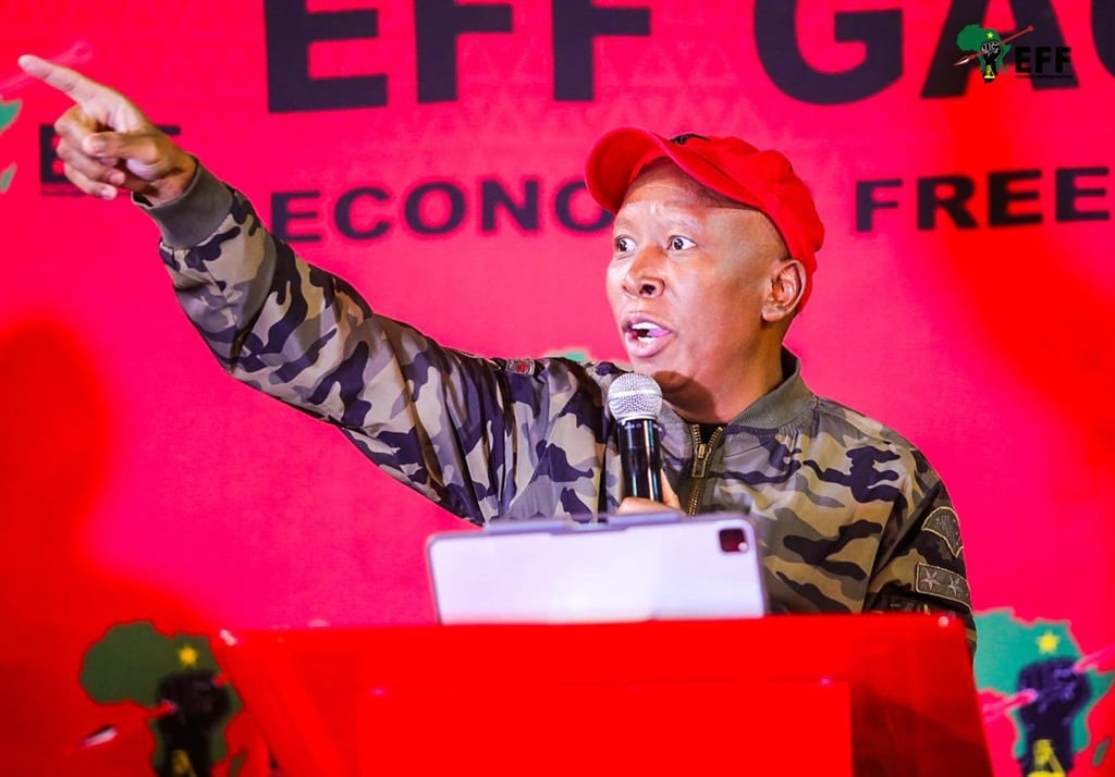 ‘Discontent is growing’: EFF resignations, expulsions, election losses, and slates | News24