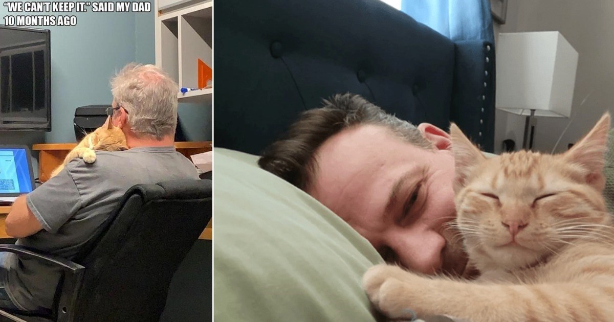 Dog Guys Who Got Cats for Their Kids and Now Can’t Stop Sharing Pics of Their Purrfect Feline Friends