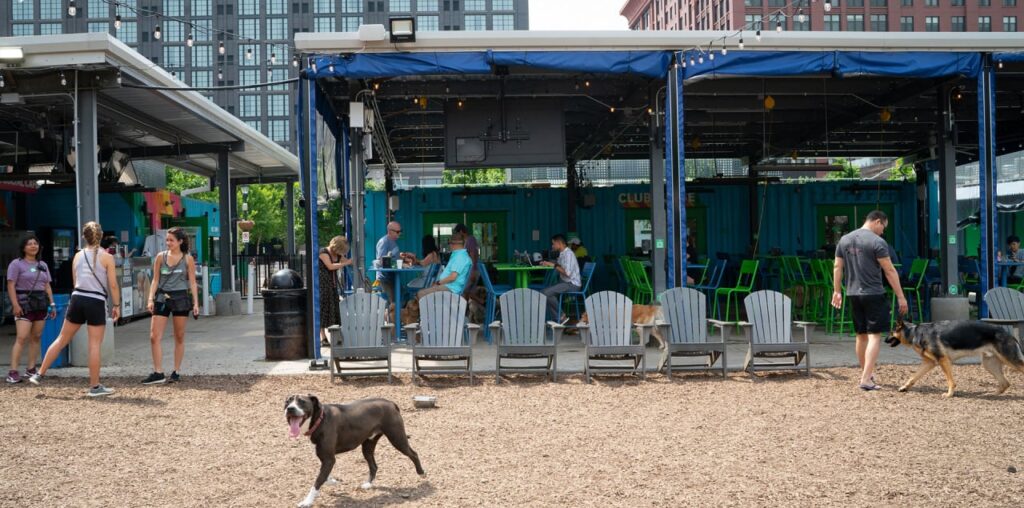 Dog lovers blindsided as fast-growing startup Bark Social abruptly shuts down all locations