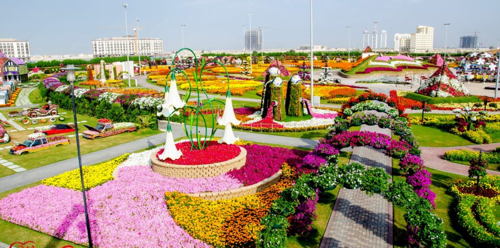 Dubai’s Miracle Garden: World’s Largest Flower Garden