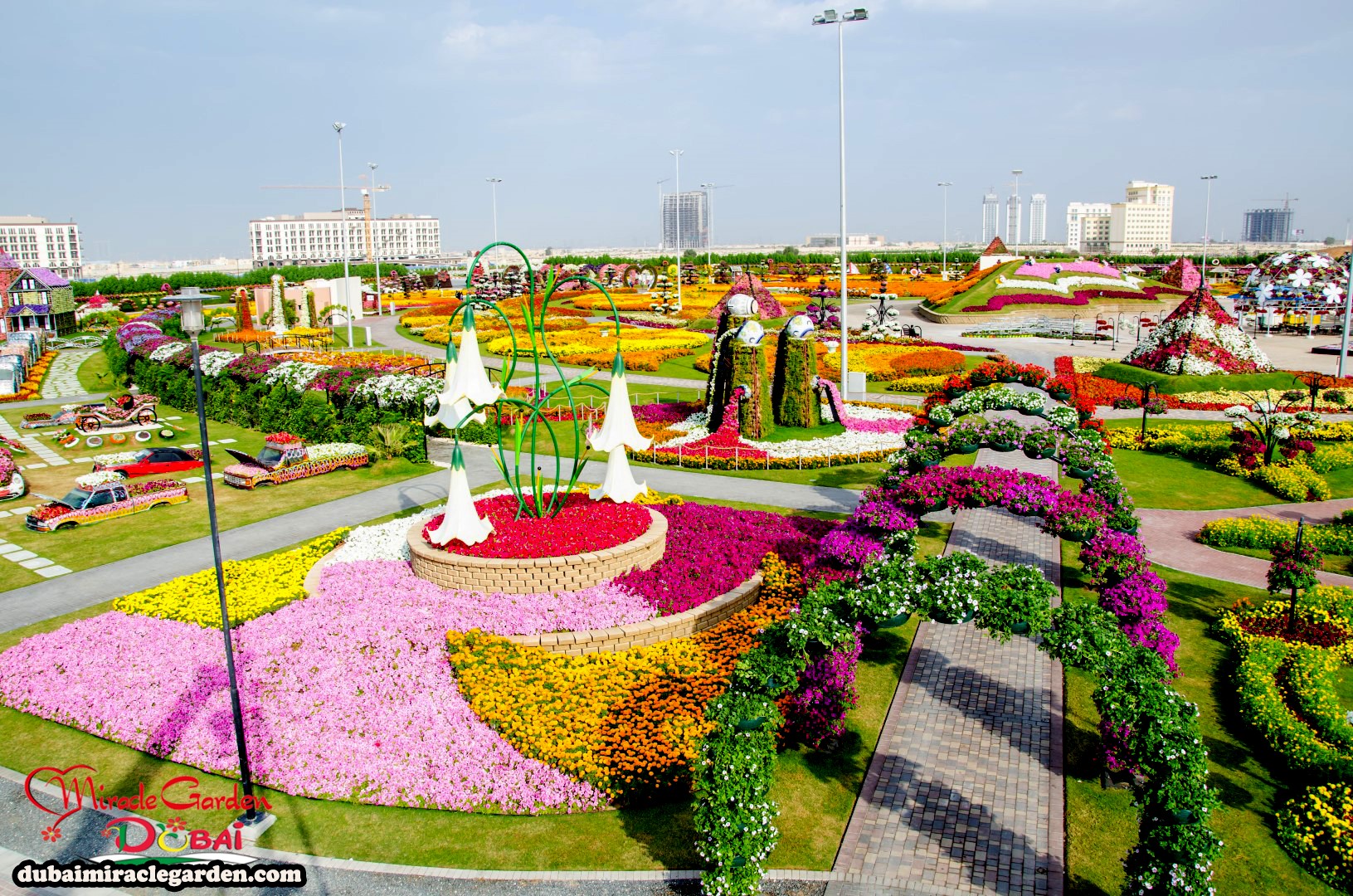 Dubai’s Miracle Garden: World’s Largest Flower Garden