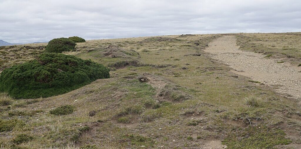 Falklands War: What Happened During the Battle of Goose Green? — History is Now Magazine, Podcasts, Blog and Books | Modern International and American history