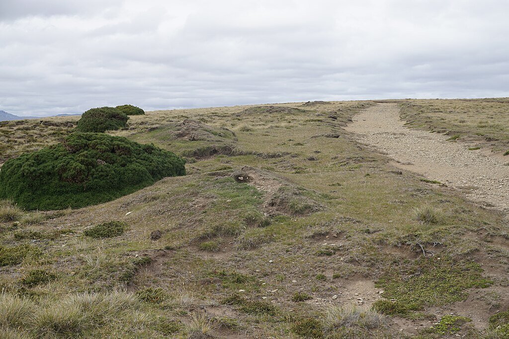 Falklands War: What Happened During the Battle of Goose Green? — History is Now Magazine, Podcasts, Blog and Books | Modern International and American history