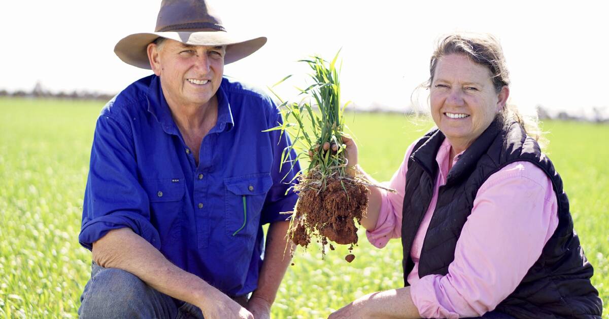 Farm pioneers Dianne and Ian Haggerty are WA’s 2025 Australians of the Year